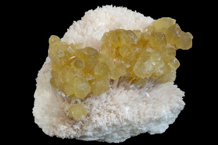 Yellow Calcite On Scolecite (Zeolite) Sprays - Maharashtra, India #168709